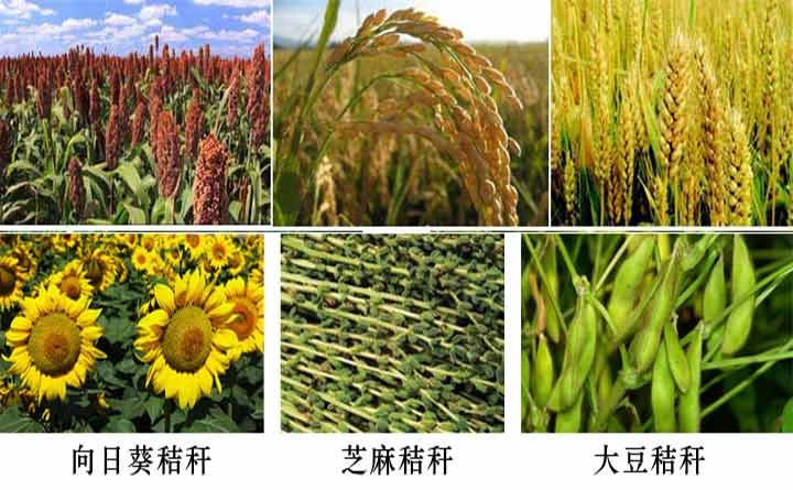 農(nóng)作物秸稈圖 農(nóng)作物秸稈圖