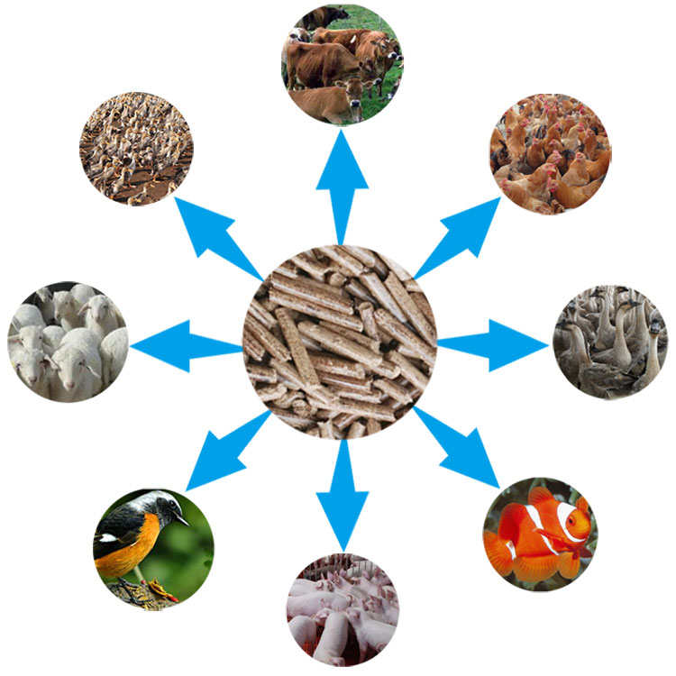 顆粒飼料適用范圍 顆粒飼料適用范圍