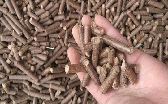 生物質(zhì)燃料 生物質(zhì)燃料