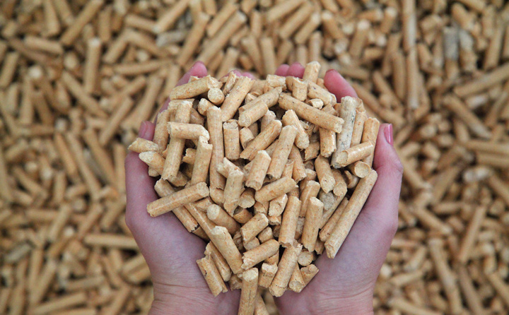 鋸末顆粒機的生物質(zhì)燃料 鋸末顆粒機的生物質(zhì)燃料