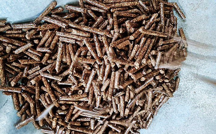 生物質(zhì)燃料 生物質(zhì)燃料