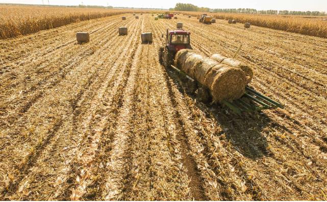 木屑顆粒機(jī):推動鄉(xiāng)村發(fā)展的新引擎 木屑顆粒機(jī):推動鄉(xiāng)村發(fā)展的新引擎