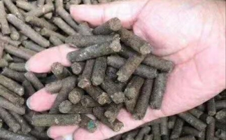 水果渣越來越受歡迎，因?yàn)樗某霈F(xiàn)—生物質(zhì)顆粒機(jī)設(shè)備