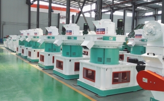 木屑顆粒機(jī)有什么優(yōu)勢(shì)和性能呢？