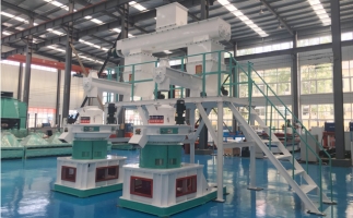 木屑顆粒機多少錢一臺?建顆粒廠大約多少錢？