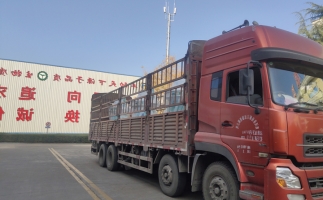 忙碌的五月，忙碌的發(fā)貨，金格瑞顆粒機(jī)生產(chǎn)線(xiàn)發(fā)往全國(guó)各地