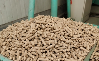 在燃燒時(shí)，水分大的生物質(zhì)顆粒會(huì)出現(xiàn)哪些問(wèn)題？