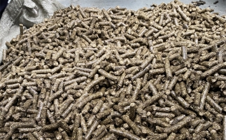 鋸末顆粒機(jī)的顆粒燃料比煤炭貴，為什么還有那么多人用？