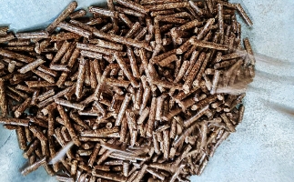 如何選擇鋸末顆粒機(jī)的顆粒燃料？講解！