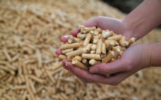 為什么越來越多人選鋸末顆粒機(jī)的生物質(zhì)顆粒取暖？