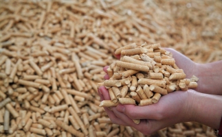 鋸末顆粒機(jī)生物質(zhì)顆粒，你需要知道的常識(shí)問(wèn)題