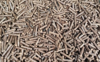 鋸末顆粒機加工的顆粒燃料價格主要受哪幾個方面的影響？