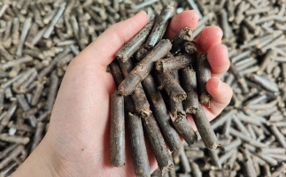 生物質顆粒燃料公司前景怎么樣，木屑顆粒機的顆粒燃料賣給誰的？