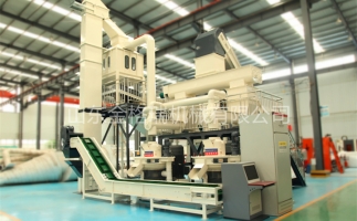 辦木屑顆粒燃料廠需要準備哪些工作？山東顆粒機廠家和您說說