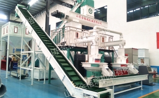 2023年木屑顆粒機(jī)生產(chǎn)生物質(zhì)燃料顆粒行情、利潤(rùn)怎么樣，投資多少大約？