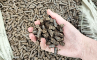 木屑顆粒機(jī)將秸稈變廢為寶，降碳節(jié)能一舉兩得