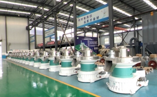 新手開顆粒廠，該選小型還是大型木屑顆粒機(jī)？